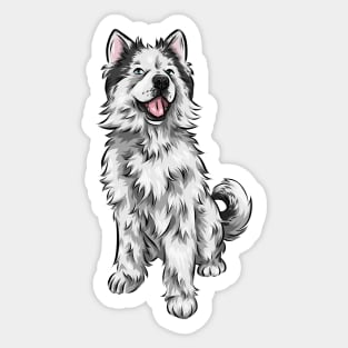 Cute Siberian Husky Dog | Long Hair/ Woolen Coat Sticker